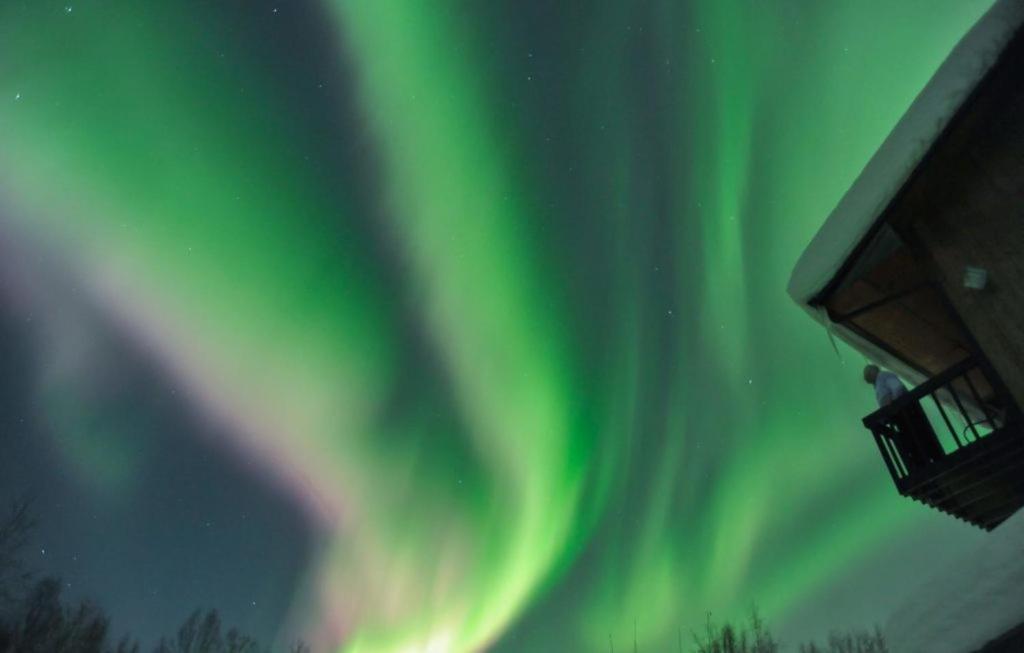 Alaska Grizzly Lodge Fairbanks Exterior foto